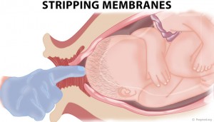Stripping Membranes