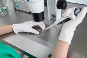 IUI vs. IVF