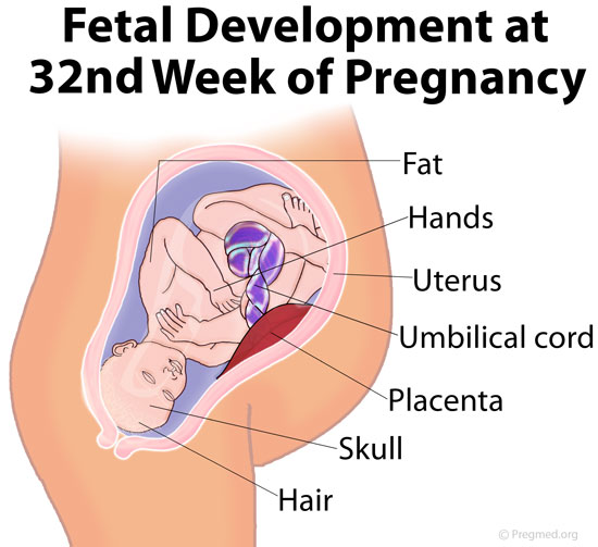 32 Weeks Pregnant Picture
