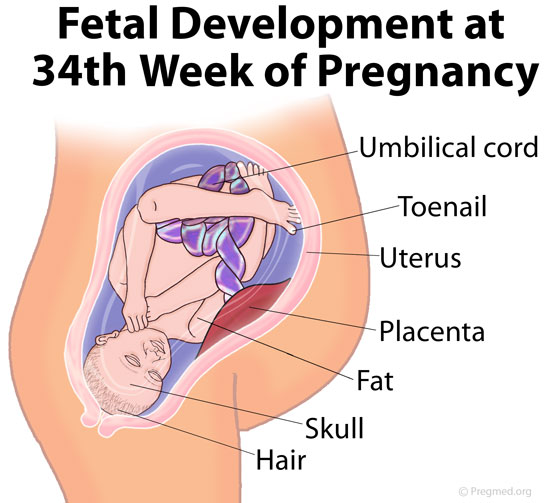 34 Weeks Pregnant Picture