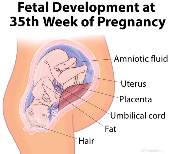 35 Weeks Pregnant Picture