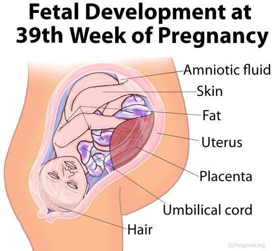39 Weeks Pregnant Picture