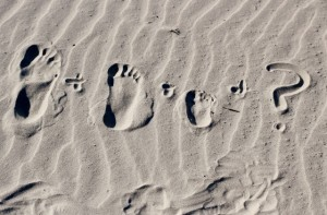 Beach Pregnancy Announcement