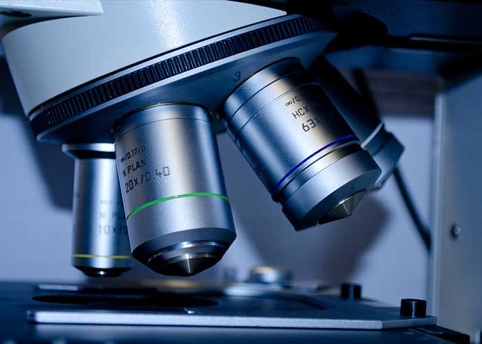 In Vitro Fertilization