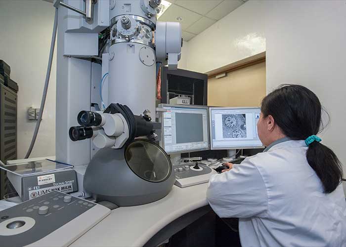 In Vitro Fertilization Success Rates